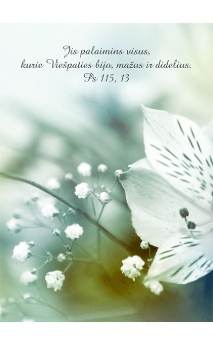 Atvirukas su Rašto eilute - "Balta gėlė"