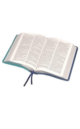 Windsor Text Bible (Vivella)